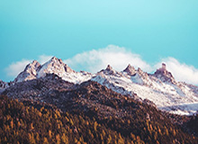 世界杯比赛在线观看地址-绝对死角！登贝莱禁区外左脚远距离低射破门，巴黎1-0领先里尔